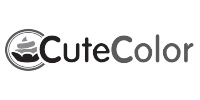 ERP implementation for Cute Color