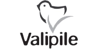 ERP implementation for Valipile