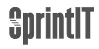 ERP implementation for Sprint IT